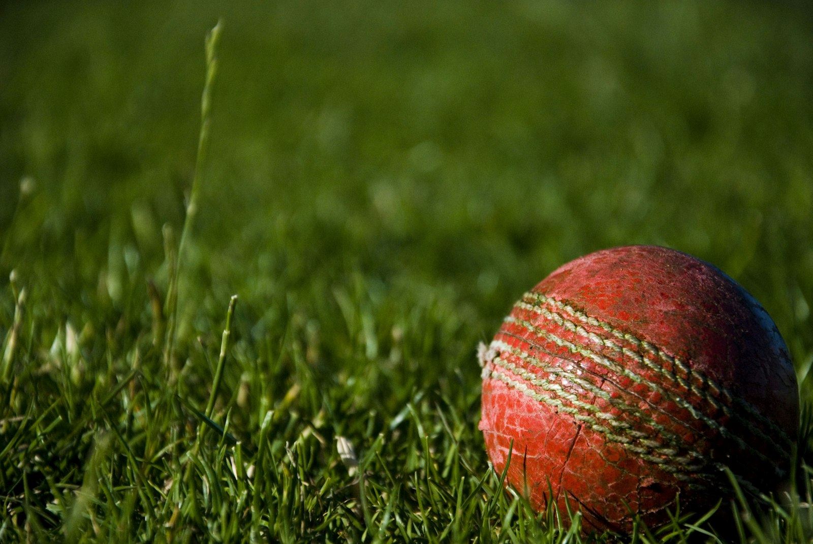 Worn red cricket ball lying on grass