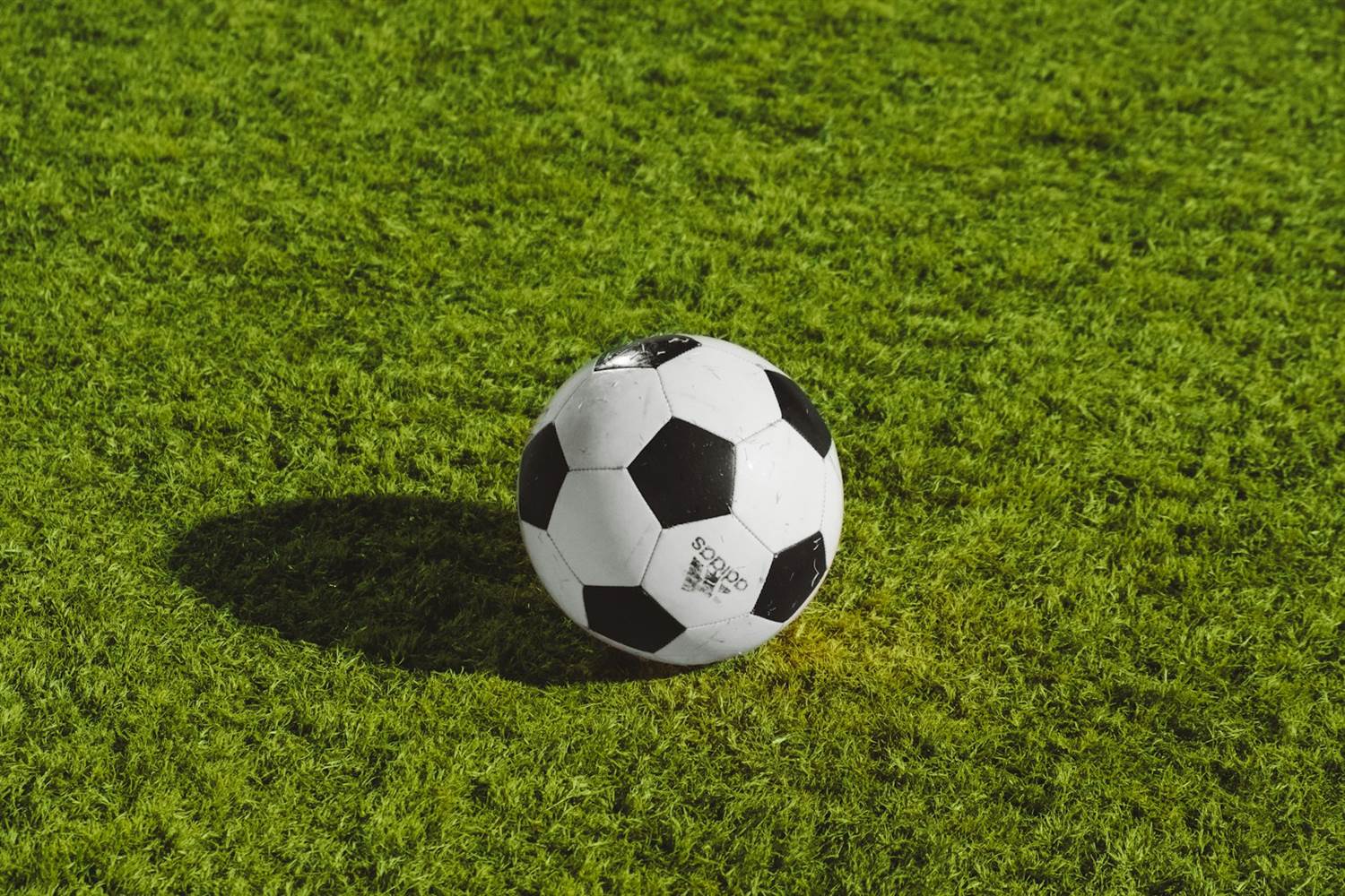 Classic black and white football sitting on bright green pitch grass